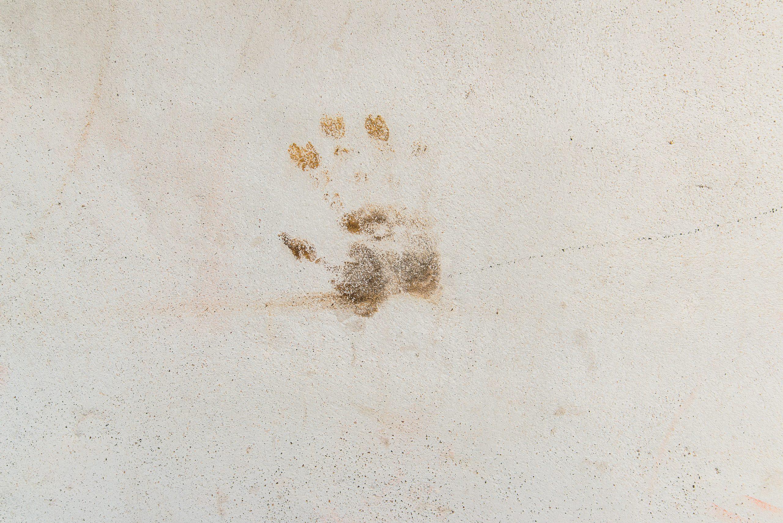 Tip 2 scaled | Elizabeth Erin Designs | National Interior Design Firm